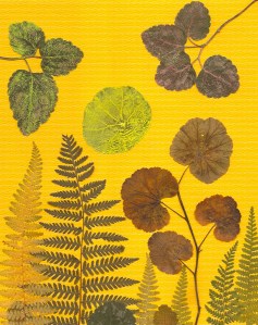 ArtMultiScenicOrangeBkgrnd